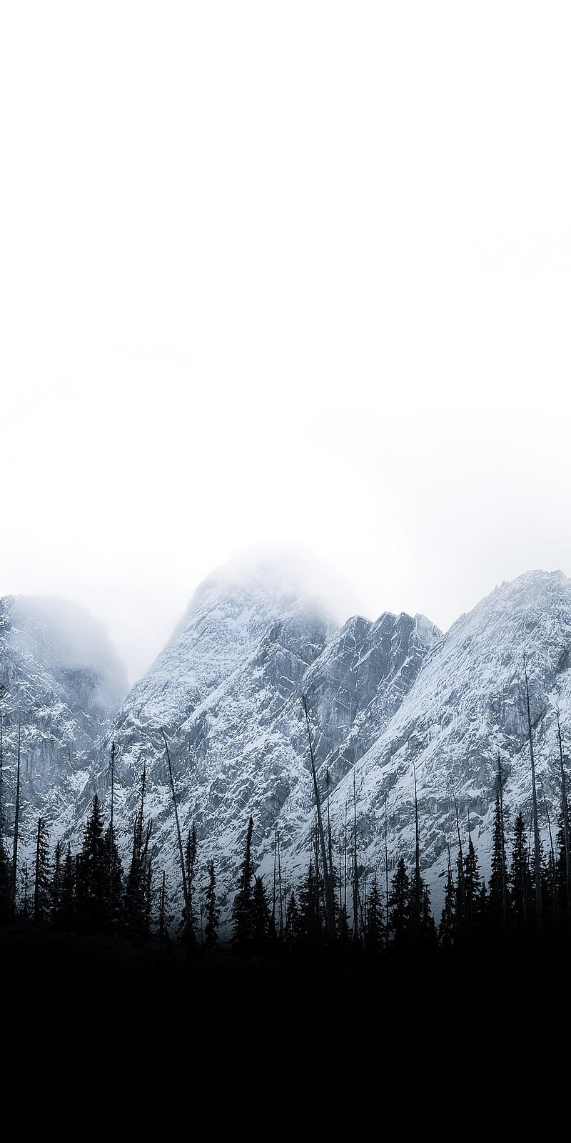 Foggy Mountains, amoled, battery saver, black, bright, dark, fog, trees, white, HD phone wallpaper