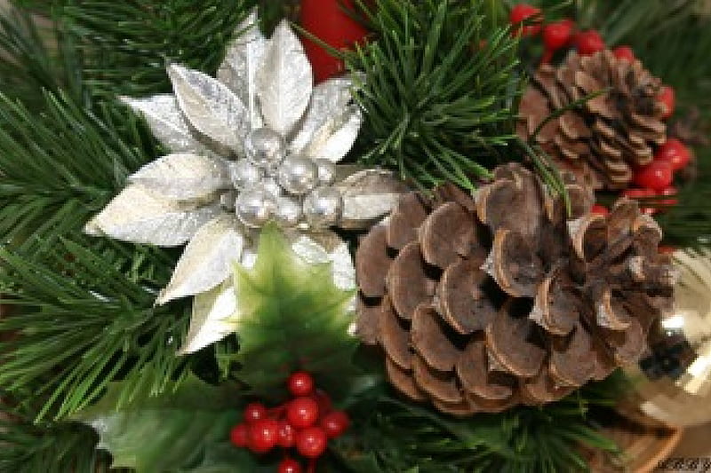 Christmas decoration with pine cones, red, graphy, green, brown, flower, pine cone, white, HD wallpaper