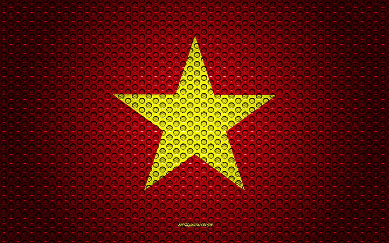 Flag of Vietnam creative art, metal mesh texture, Vietnamese flag, national symbol, Vietnam, Asia, flags of Asian countries, HD wallpaper