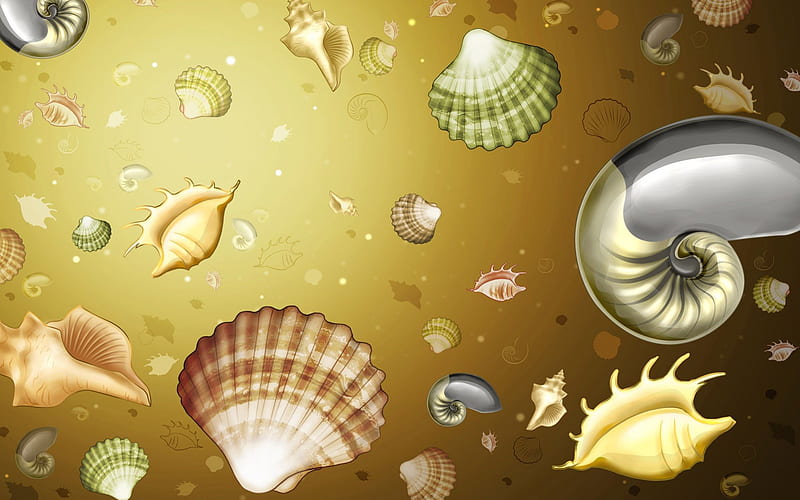 Sea Shells, art, floating, HD wallpaper | Peakpx