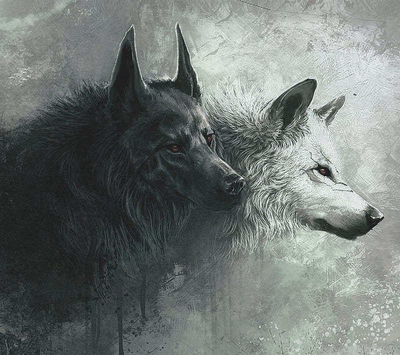 Wolf, animal, wolves, HD wallpaper