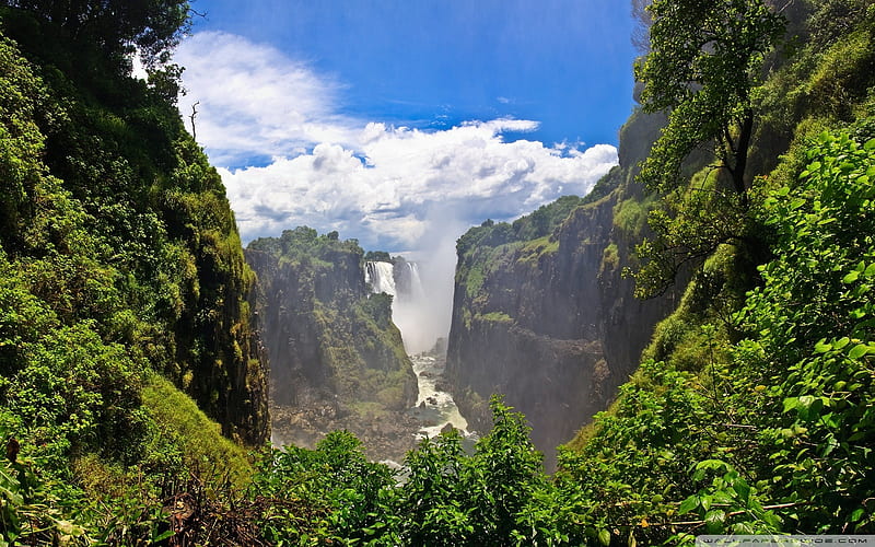 Forest Canyon Falls-World most famous waterfall landscape, HD wallpaper