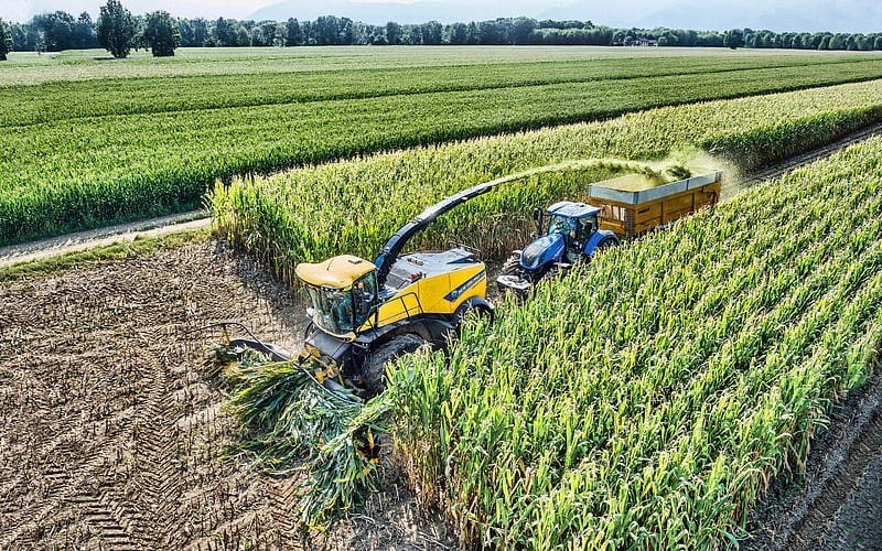 New Holland FR780, harvesting corn, aerial view, 2019 combines​, wheat harvest, agricultural machinery, R, grain harvesting, combine harvester, Combine​ in the field, agriculture, New Holland Agriculture​, HD wallpaper