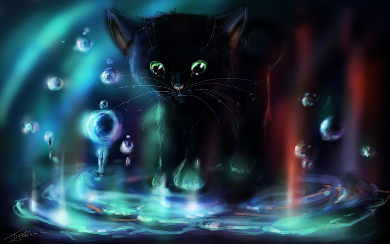 kitten in bubbles, bubbles, black, fantasy, cat, HD wallpaper
