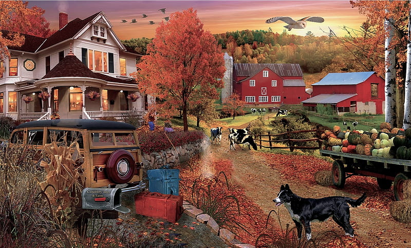 Country Inn and Farm, Colorful, Farm, splender, Animals, barn, country inn, house, autumn, lovely, splendor, Outdoors, HD wallpaper