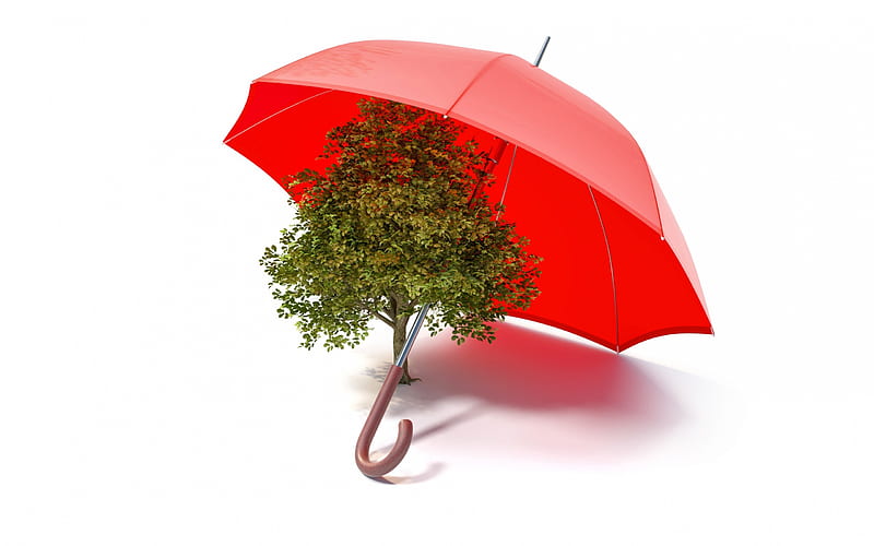 Protect the environment, Save Earth, ecology concepts, tree, red umbrella, environment, HD wallpaper