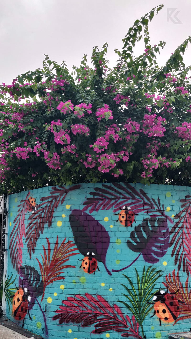 Ladybird Graffiti, art, flowers, green, leaf, nature, wall, HD phone wallpaper