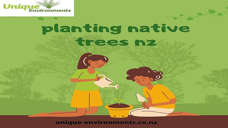 Restoring NZ's Canopy: Native Tree Planting Efforts, riparian planting nz, revegetation planting nz, planting native trees nz, wetland restoration nz, HD wallpaper