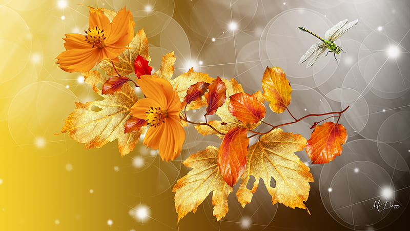 Beautiful Fall, Firefox theme, fall, autumn, orange, gold, leaves, bokeh, blossoms, dragonfly, flowers, HD wallpaper