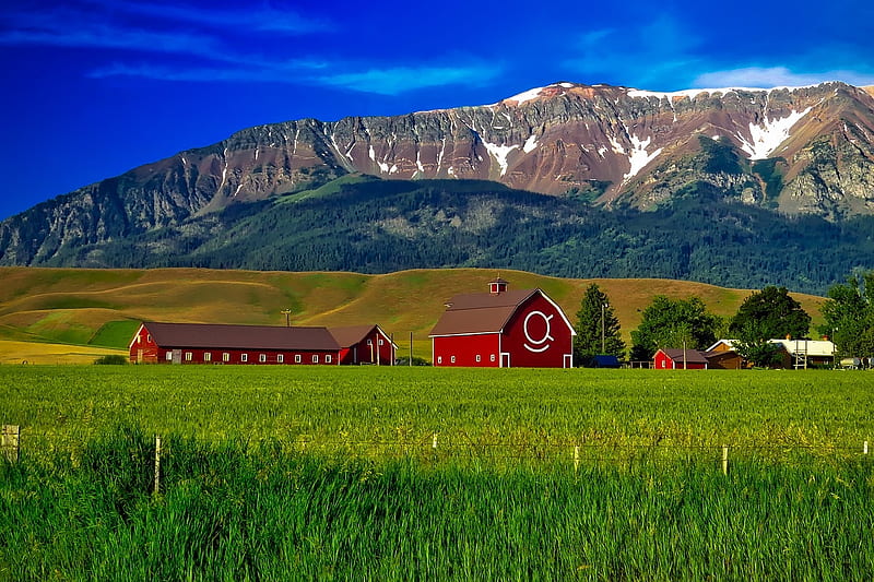 Farmers House, Red, Grass, Oregon, Mountain, Farm, House, Nature, HD wallpaper