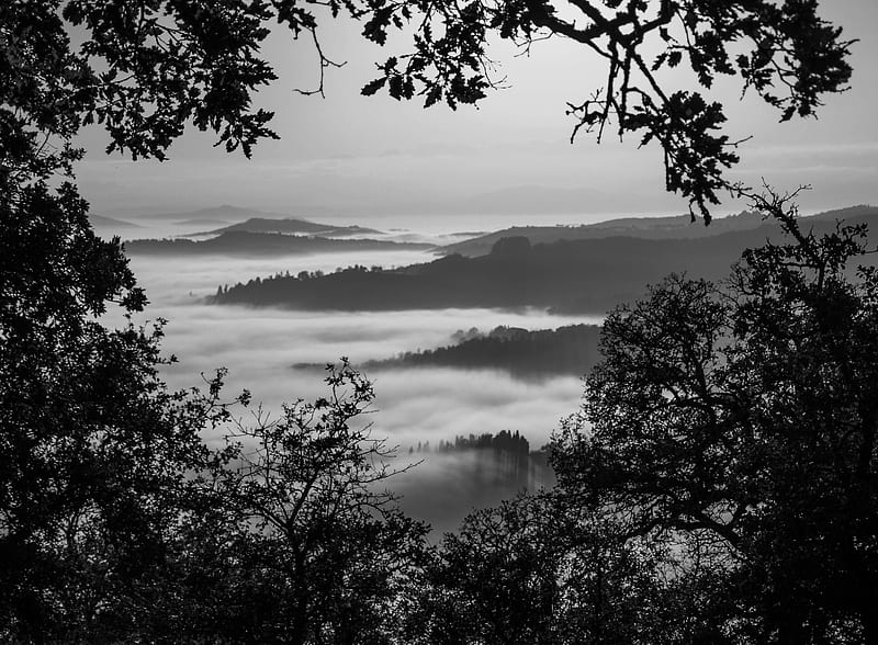 mountains, fog, bw, landscape, HD wallpaper