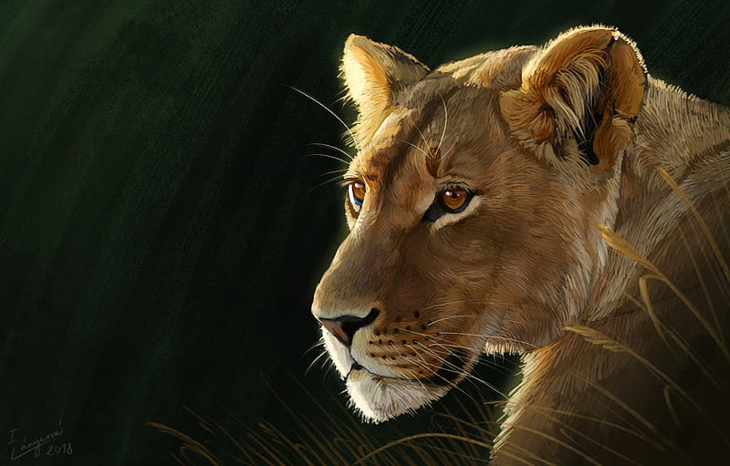 lioness, big cat, predator, glance, art, HD wallpaper