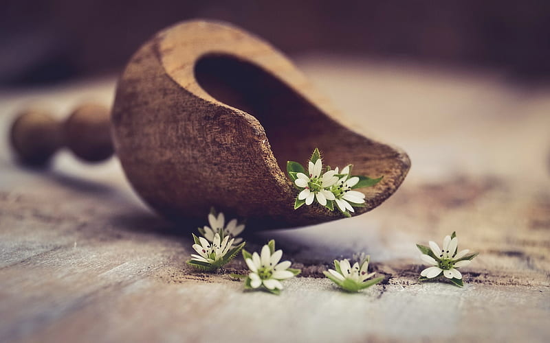 wooden scoop, white spring flowers, spa treatments, spa accessories, White flowers, HD wallpaper