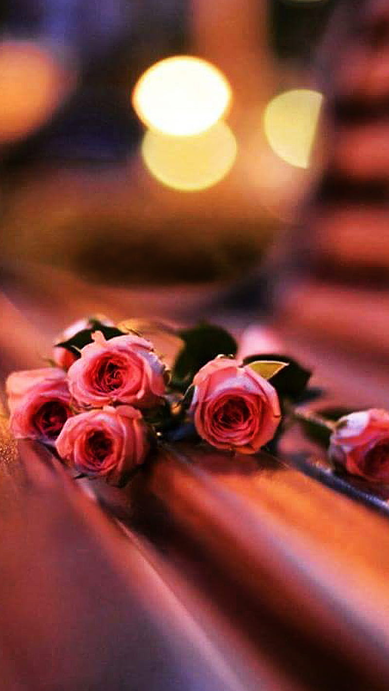 Roses on bench, flower, light, love, pink, rose, HD phone wallpaper ...