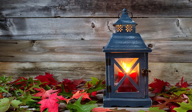 Glowing Lantern, candle, still life, autumn, leaves, lantern, wood, HD ...