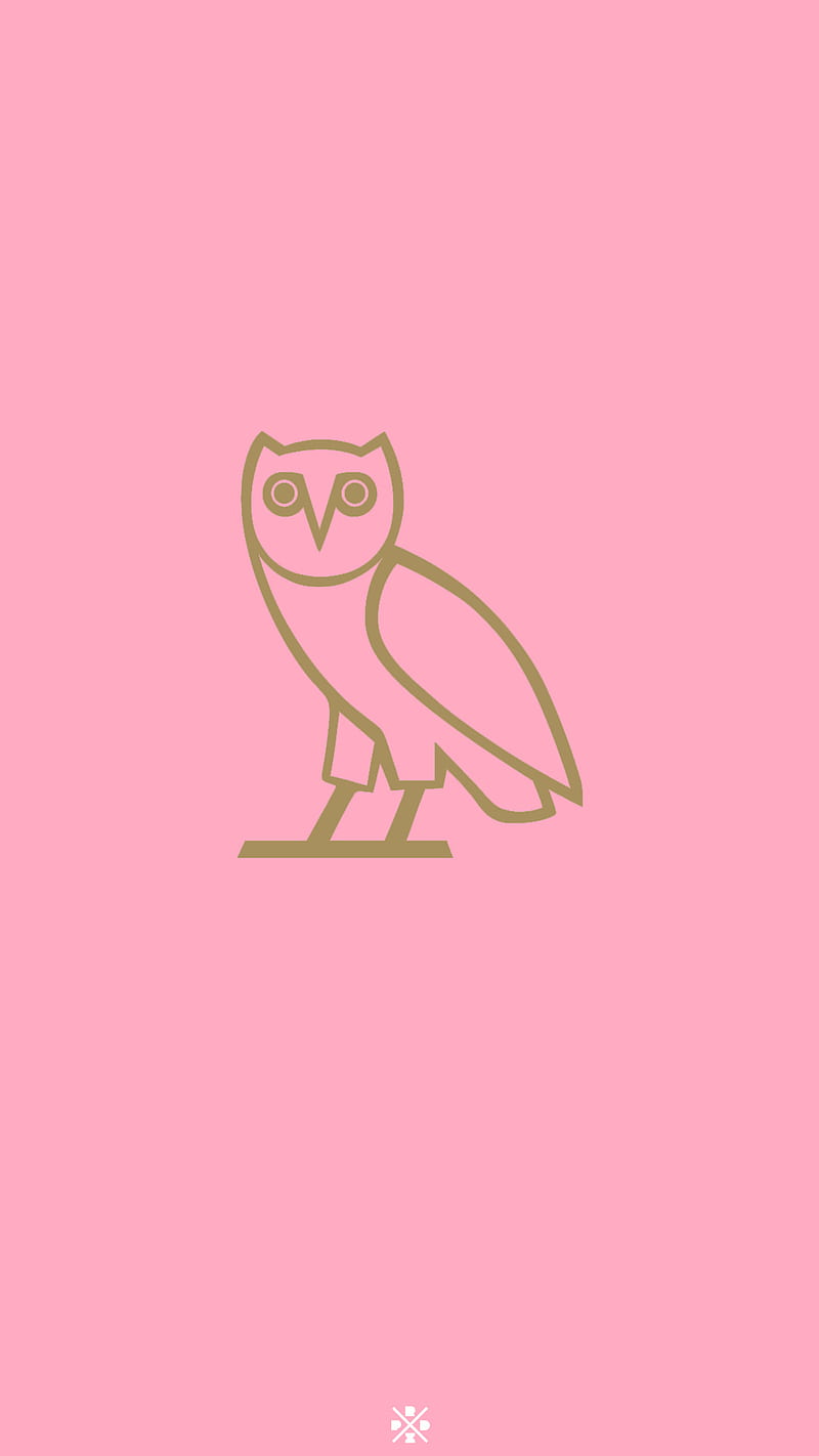 OVO OWL , pink, man, HD phone wallpaper