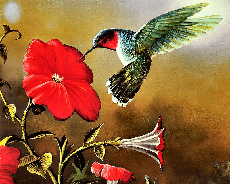 Ruby Throated Hummingbird, art, bonito, hummingbird, illustration, artwork, animal, bird, avian, painting, wide screen, wildlife, flowers, nature, HD wallpaper