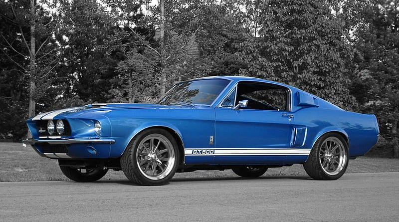 Shelby GT500, Old-Timer, Mustang, Ford, Car, GT 500, HD wallpaper