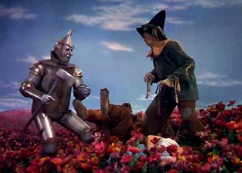 The Poppy Field Wizard Of Oz Movie, Poppy, Wizard Of Oz, Flowers, Field, Hats, HD wallpaper