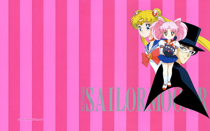 Sailor Moon Family, chibiusa, tuxedo mask, anime, tuxedo kamen, sailor moon, HD wallpaper