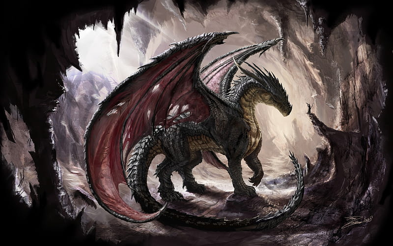 Dragon animal, black, fabelwesen, fire, fliegen, gray, red, white, HD wallpaper