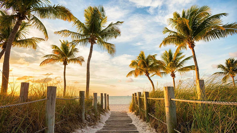 Florida Keys, sea, palms, path, morning, sunrise, sky, clouds, HD wallpaper