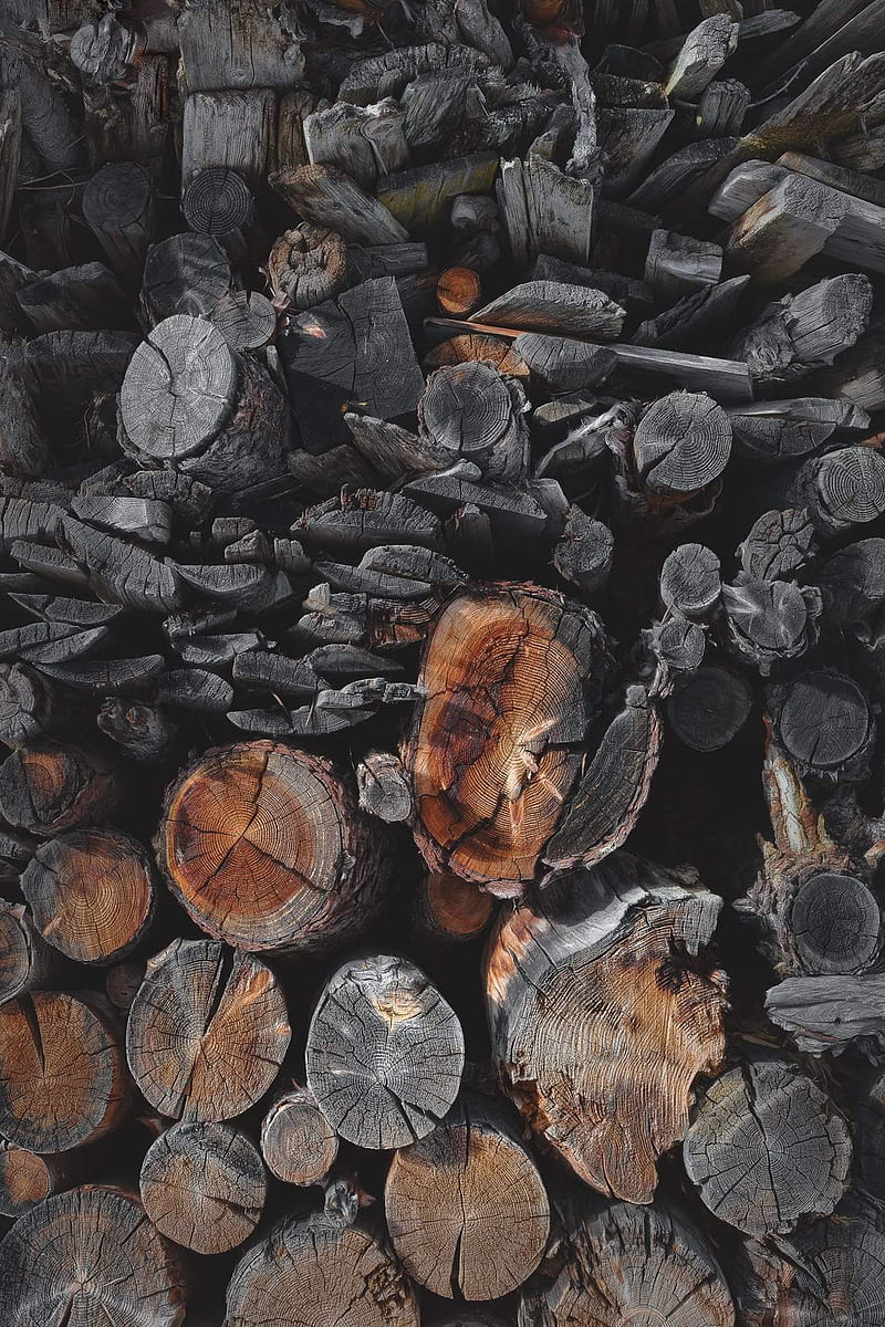 Blackwood, black, wood, fire, burnt, grey, live, HD phone wallpaper
