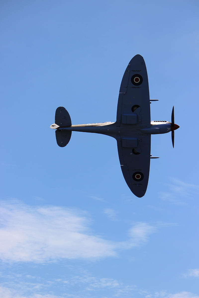 Spitfire5, ardmore, aviation, battle of britain, spitfire, supermarine, warbirds, HD phone wallpaper