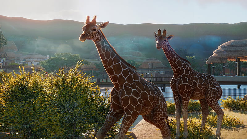 Planet Zoo, giraffe, microsoft, HD wallpaper