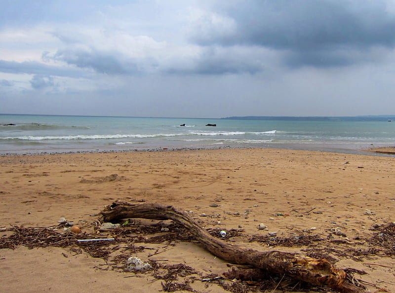 Driftwood, beach, sand, waves, sky, dark clouds, HD wallpaper