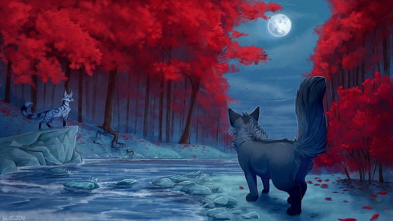 fantasy foxes, autumn, forest, moon, fantasy creature, stars, Fantasy, HD wallpaper