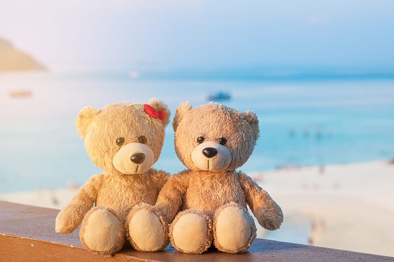teddy bear, stuffed animal, beach, ocean, Others, HD wallpaper