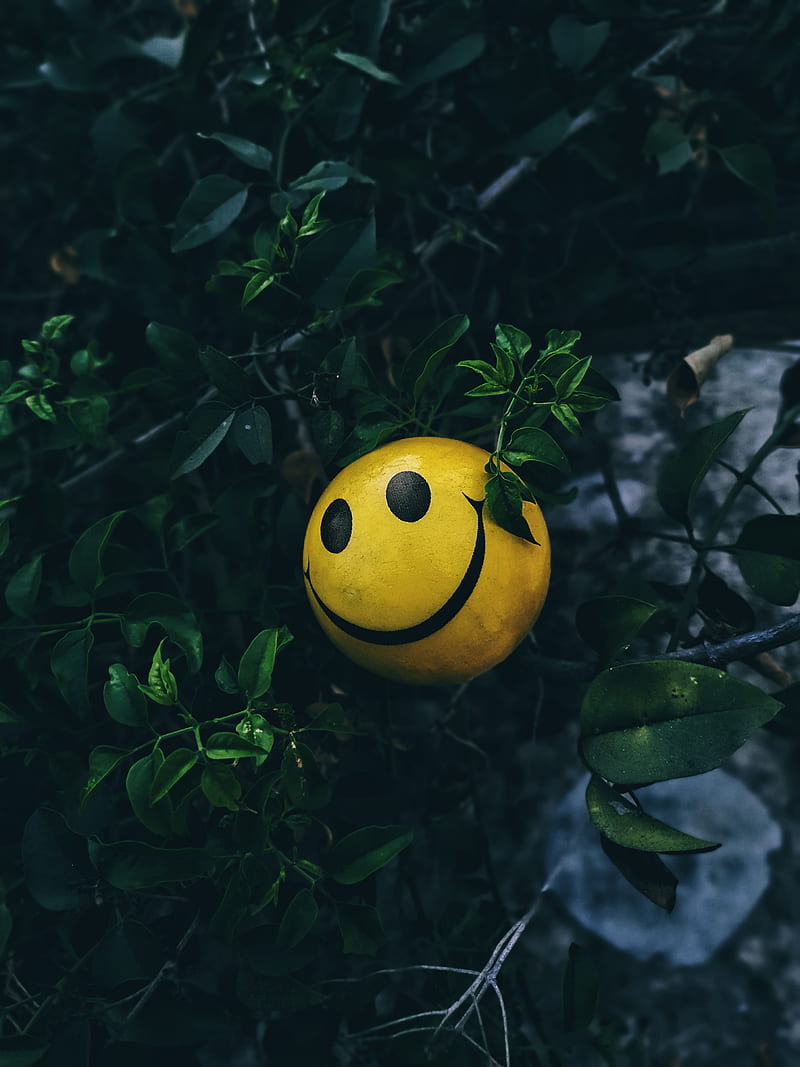 Smiley, ball, happy, positive, trees, yellow, HD phone wallpaper