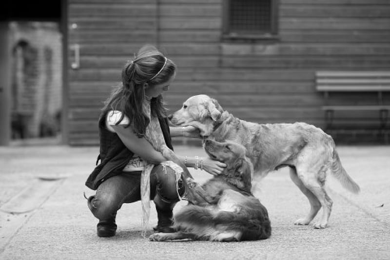 Only LOVE, playing, black and white, loyalty, girl, friendship, love, siempre, frendship, dog, HD wallpaper