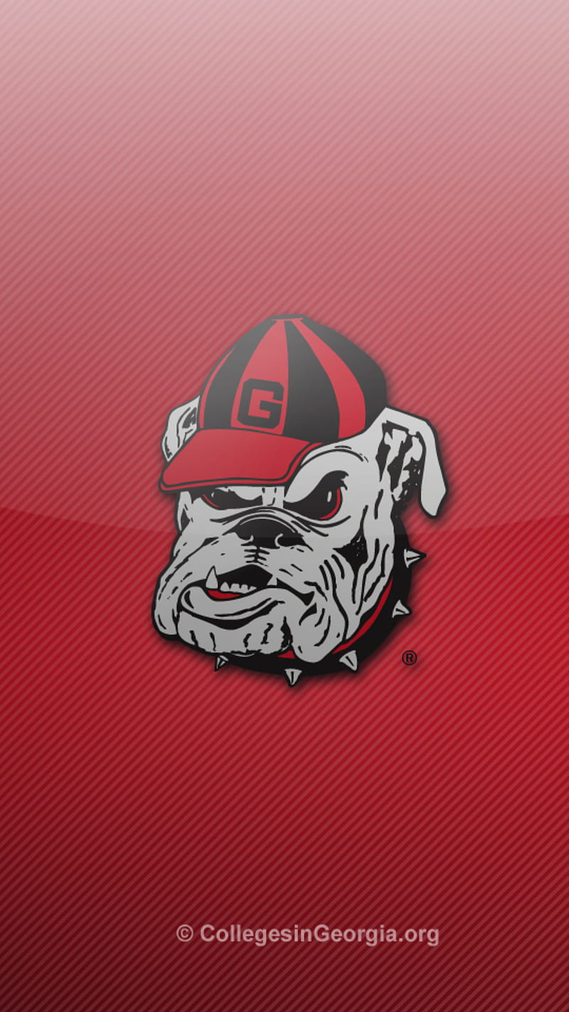 Georgia Bulldogs - Top Best Quality Georgia Bulldogs Background ( , ), HD phone wallpaper
