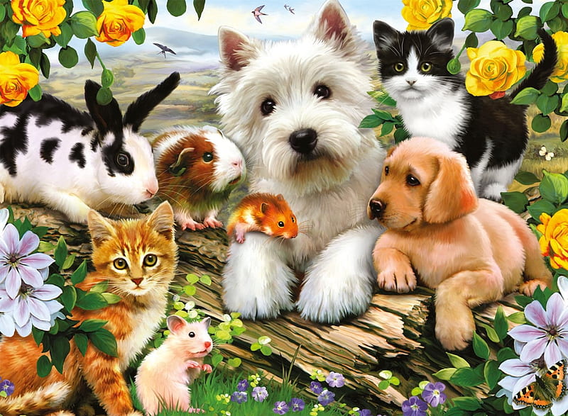 Pets, art, luminos, caine, cat, animal, pet, mouse, summer, garden, bunny, kitten, dog, HD wallpaper