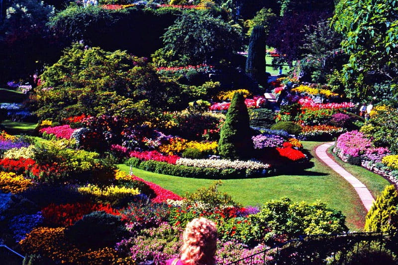 Butchart Gardens, Brentwood Bay, flowers, path, park, trees, canada, HD wallpaper