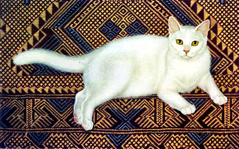 Chocolate - White Cat F, sue wall, art, cat, wall, artwork, animal, pet, feline, painting, HD wallpaper