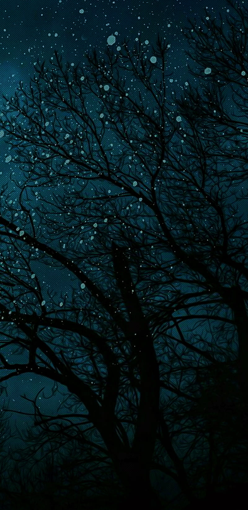 19 Trees, night, dark, moonlight, snow, 2020, blue, frost, fall, HD phone wallpaper