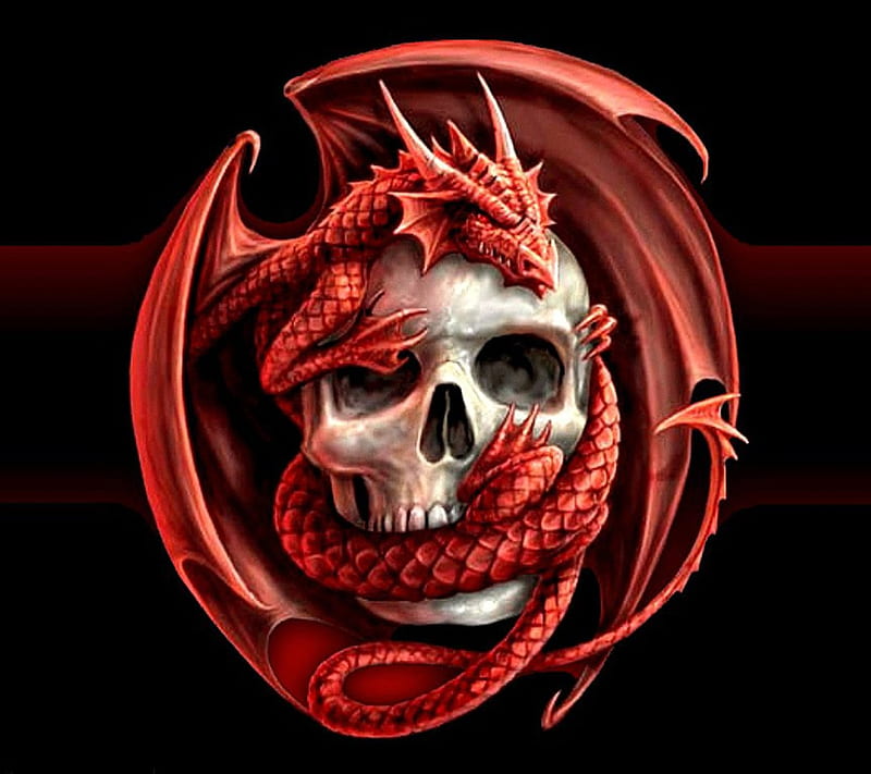 Dragon king, skulls, dragons, HD wallpaper | Peakpx