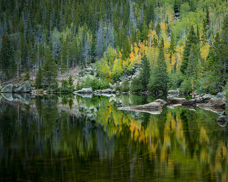 forest, lake, reflection, trees, HD wallpaper