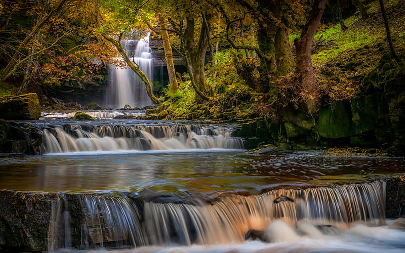 waterfalls, river, cascades, forest, water concepts, beautiful waterfalls, County Durham, England, HD wallpaper