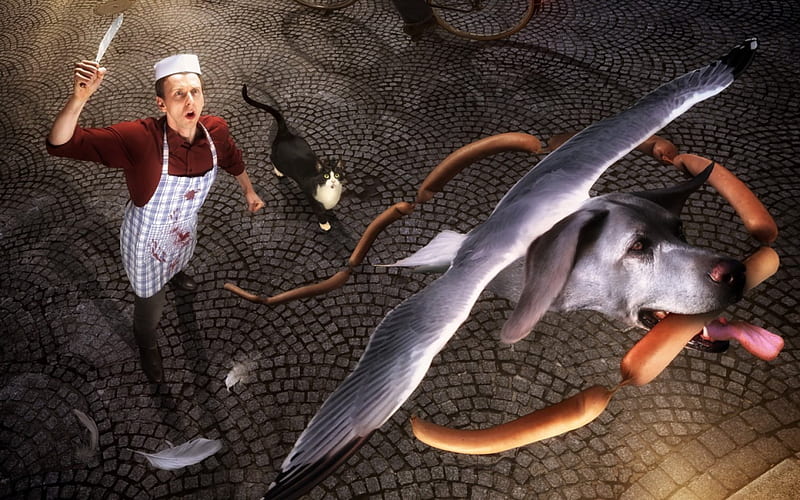 Situation, wings, surrealism, cat, animal, fly, sausage, thief, bird, manipulation, cook, dog, HD wallpaper