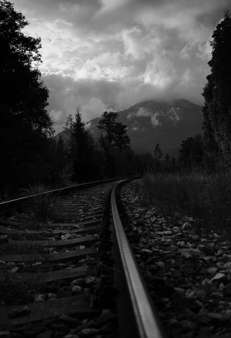 rails, turn, trees, mountains, landscape, black and white, HD phone wallpaper
