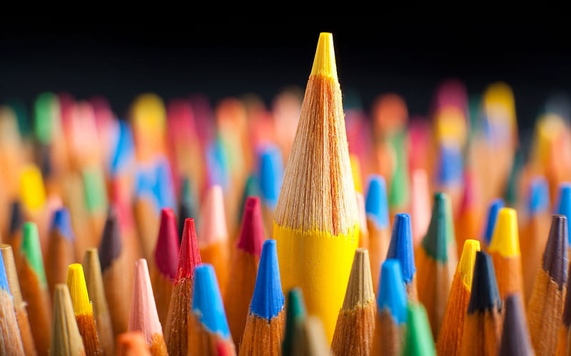 Colorful Pencils, Leadership concept, macro, business concepts, Be Leader, Pencils, 3D peoples, creative art, Leadership, HD wallpaper