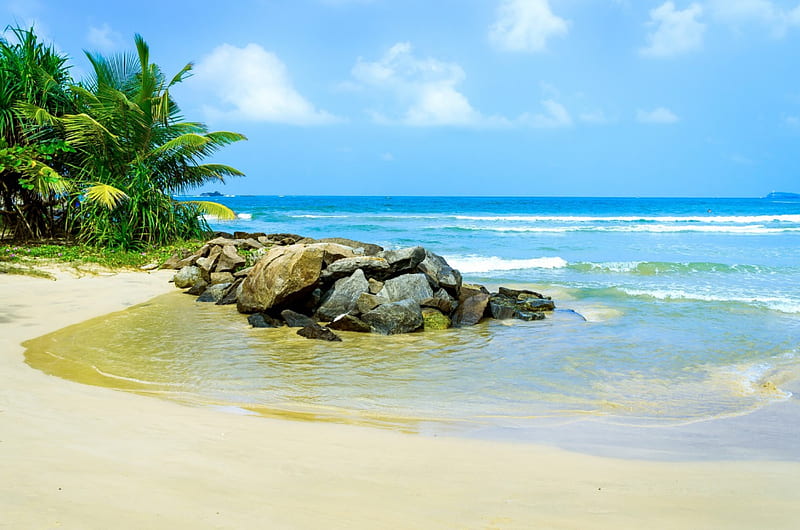 Tropical Paradise Beach Sunshine Tropical Coast Sea Palms Hd Wallpaper Peakpx