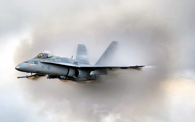 McDonnell Douglas FA-18A Hornet, attack aircraft, American Army, US Navy, McDonnell Douglas, combat aircraft, US Army, HD wallpaper