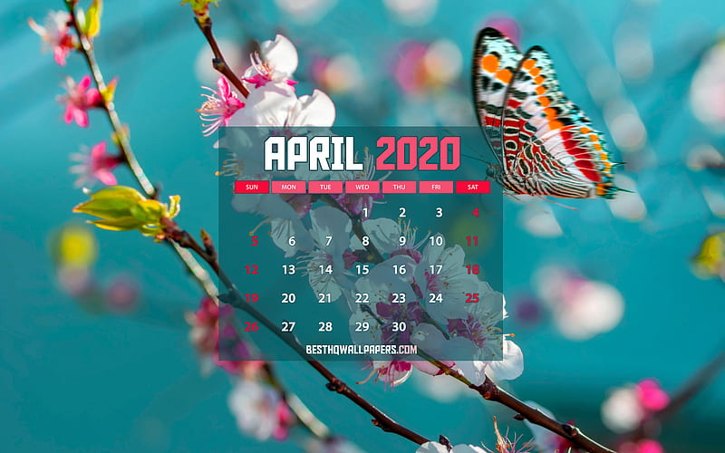 Calendar April 2020, butterflies, 2020 calendar, spring calendars, April 2020, creative, blue backgrounds, April 2020 calendar with butterflies, April 2020 Calendar, artwork, 2020 calendars, HD wallpaper