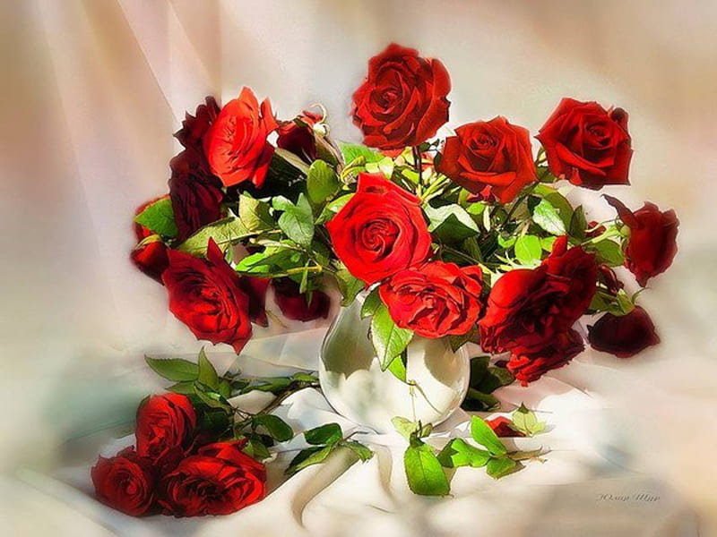 Still Life, red, flowers, vase, roses, HD wallpaper