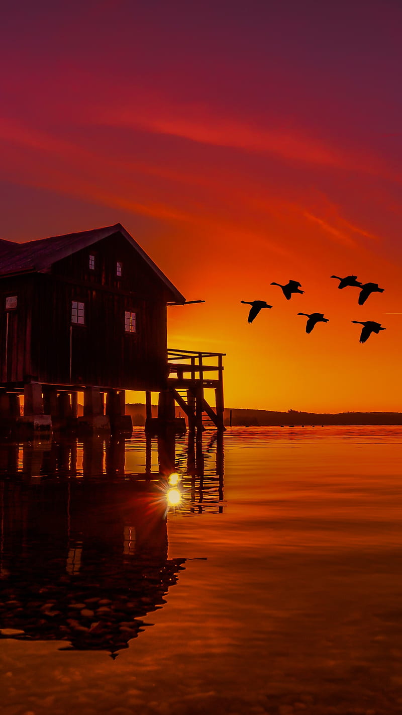 Sunset , bird, boat house, lake, scenery, HD phone wallpaper